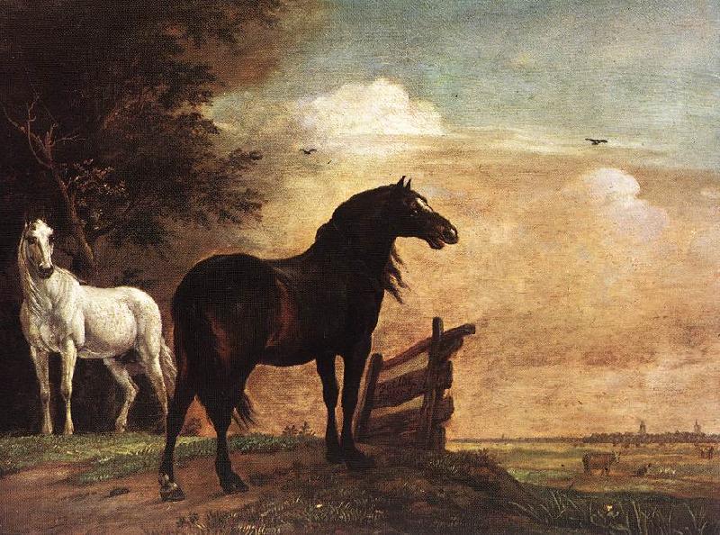 POTTER, Paulus Horses in a Field zg France oil painting art